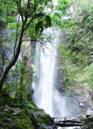 Parque Natural Municipal